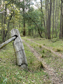  - Wolgan River Trail